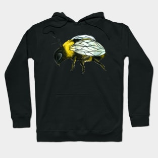 Watercolour Bumblebee Hoodie